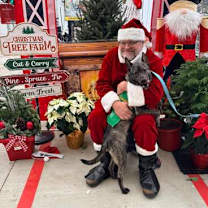 Thumbnail photo of Twain #1