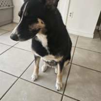 Thumbnail photo of Taivas #2