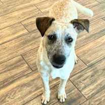 Thumbnail photo of Bandit #3