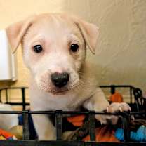 Thumbnail photo of Spirit #2