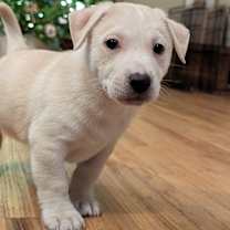 Thumbnail photo of Spirit #3