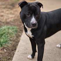 Thumbnail photo of REX #3