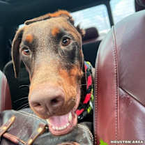 Thumbnail photo of Warlock #1