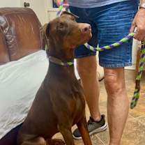 Thumbnail photo of Warlock #2