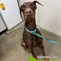 Thumbnail photo of Warlock #4