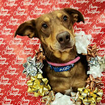 Thumbnail photo of Munich JuM #1