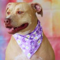 Thumbnail photo of Smillie JUM #4