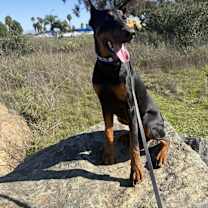 Thumbnail photo of Kratos #1