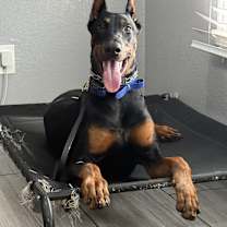 Thumbnail photo of Kratos #4