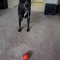 Thumbnail photo of Garrett #1