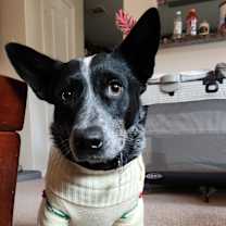 Thumbnail photo of Garrett #2