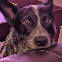 Thumbnail photo of Garrett #3