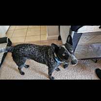 Thumbnail photo of Garrett #4