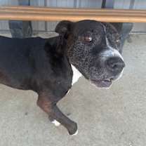 Thumbnail photo of Dr. Pepper #4