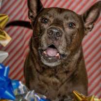 Thumbnail photo of Mamas #3