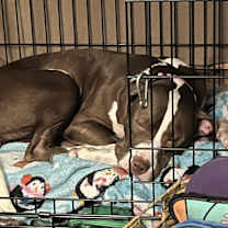 Thumbnail photo of Hadley #2