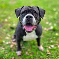 Thumbnail photo of Sasha #4