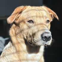 Thumbnail photo of Prosper #1