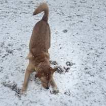 Thumbnail photo of Prosper #2