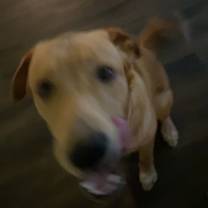 Thumbnail photo of Prosper #3