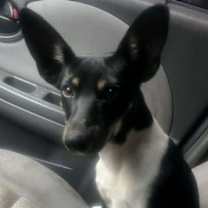 Thumbnail photo of Ridge Louisiana #2