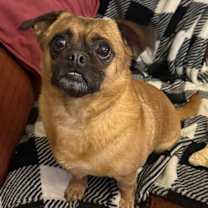 Thumbnail photo of Chubbs  #3