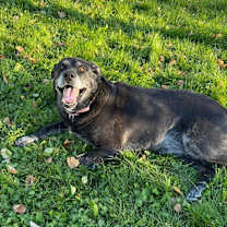 Thumbnail photo of Mavis #3