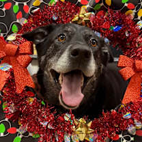 Thumbnail photo of Mavis #4