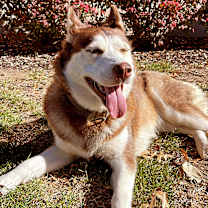 Thumbnail photo of Thena #1