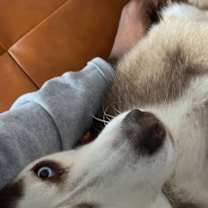 Thumbnail photo of Thena #3