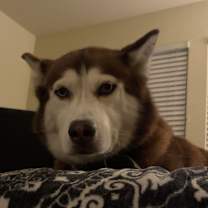 Thumbnail photo of Thena #4