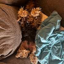 Thumbnail photo of Chase #3