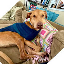 Thumbnail photo of Whiskey #1