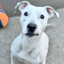 Thumbnail photo of Chantara #1