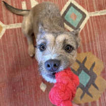 Thumbnail photo of Edie #3