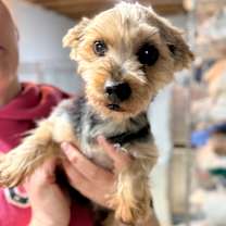 Thumbnail photo of Sally #2