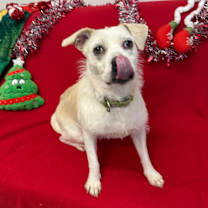 Thumbnail photo of Luna #2