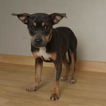 Thumbnail photo of Mary D67404 #1