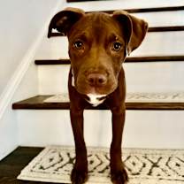 Thumbnail photo of Sally #1