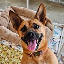 Thumbnail photo of Cindy #2