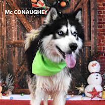 Thumbnail photo of McConaughey #1