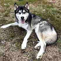 Thumbnail photo of Thunder #2