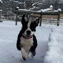 Thumbnail photo of Benson #1