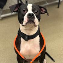 Thumbnail photo of Benson #2