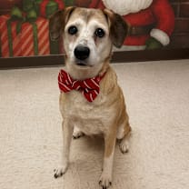 Thumbnail photo of Sadie Ladie #2