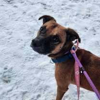 Thumbnail photo of Matzo #2