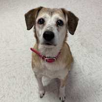 Thumbnail photo of Sadie Ladie #3