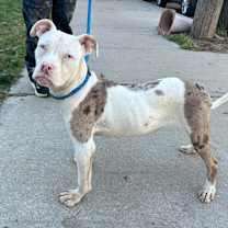 Thumbnail photo of Summer #3