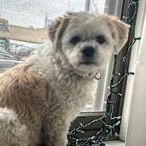 Thumbnail photo of Jake #2