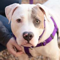 Thumbnail photo of Johnny Cash #3